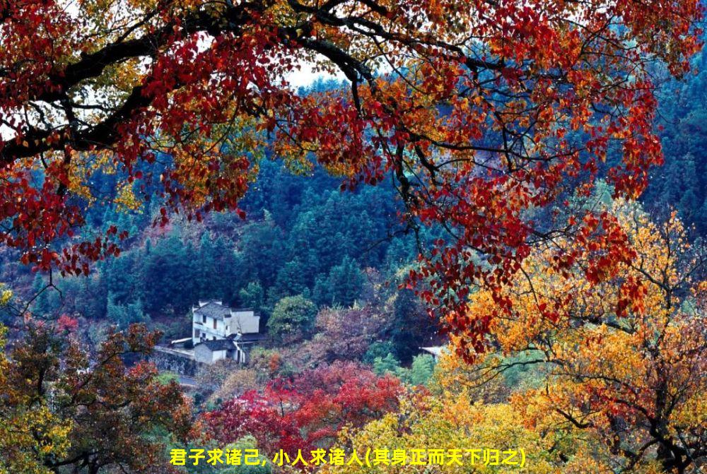 君子求诸己, 小人求诸人(其身正而天下归之)